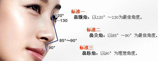 美恩达拉斯美鼻—新标准
