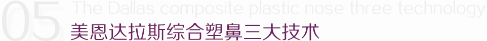 美恩达拉斯综合塑鼻三大技术