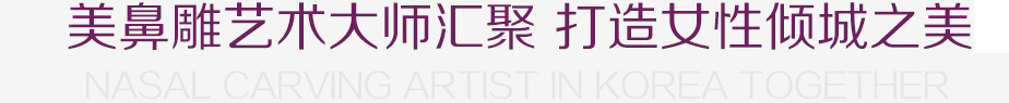 中韩美鼻雕艺术大师汇聚 打造女性倾城之美